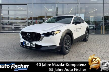 Mazda CX-30 3.000 km 28.990 € Karben 61184