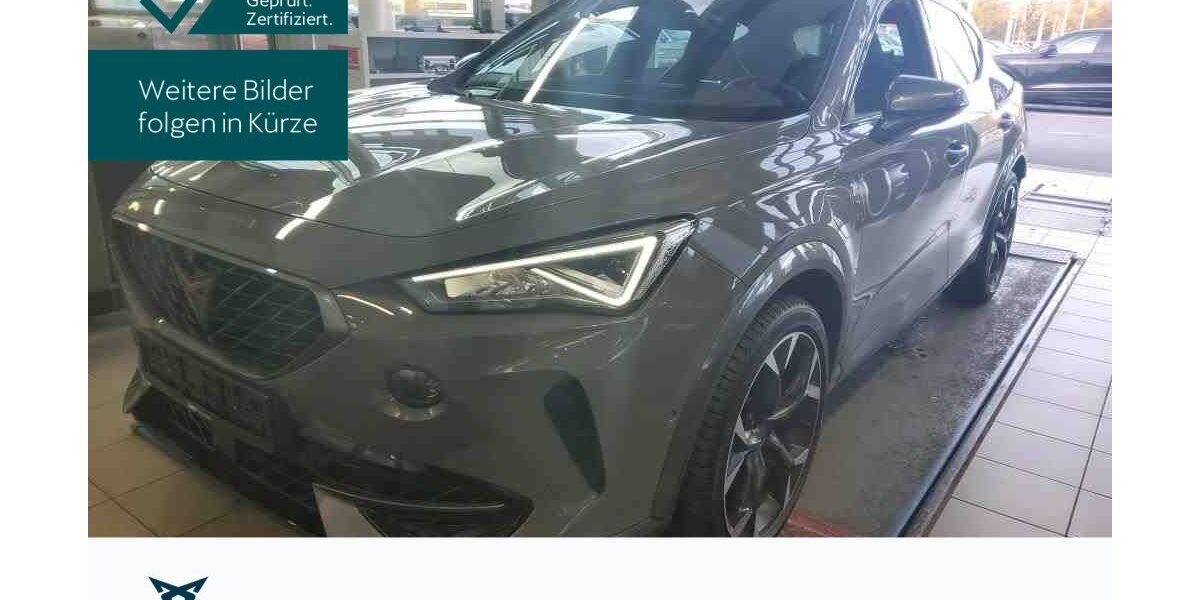 Cupra Formentor 34.355 km 26.930 &euro; Hofheim-Diedenbergen 65719