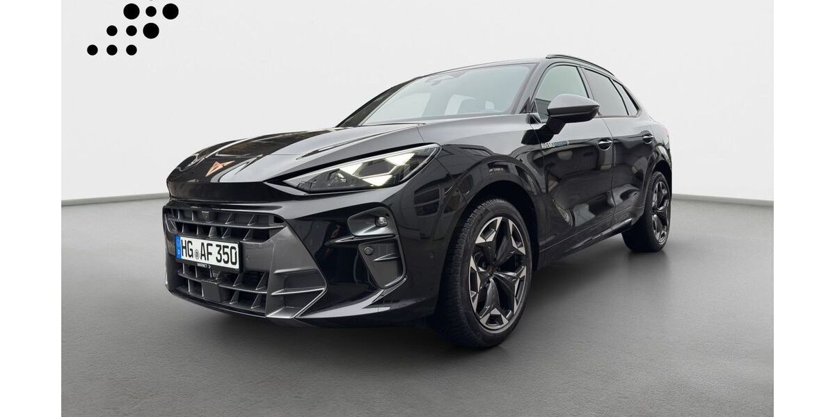 Cupra Terramar 13.000 km 38.500 &euro; Königstein 61462