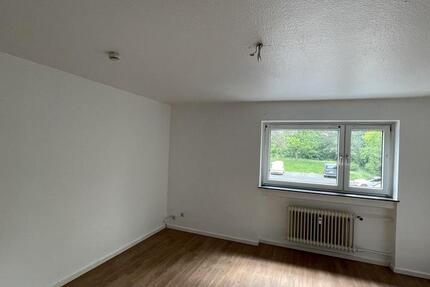 Nette 1-Zimmer-Wohnung DIREKT AN DER NIDDA [HMR-O09E03] 1 zimmer