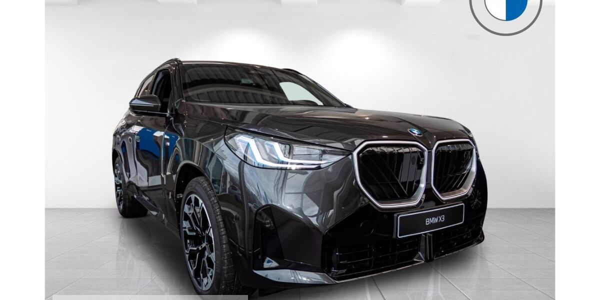 BMW X3 1.100 km 58.990 &euro; Friedberg 61169