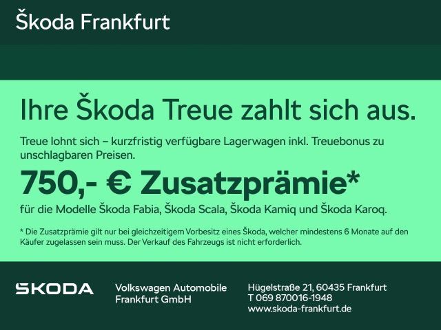 Skoda Fabia 4.500 km 19.480 &euro; Frankfurt 60435