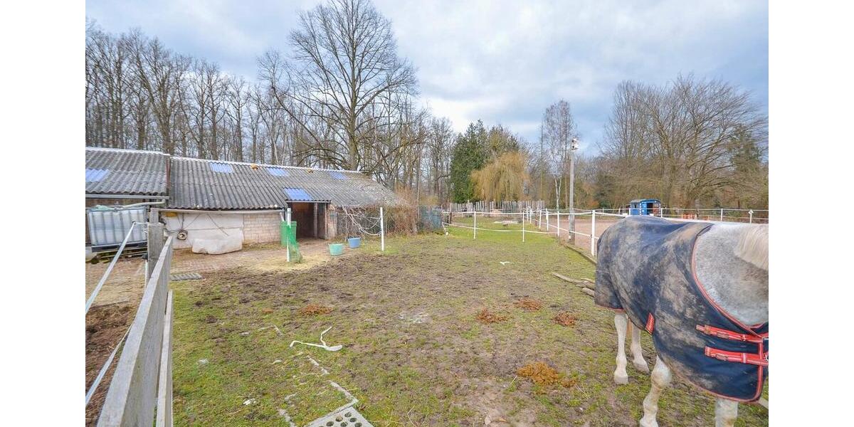 Gewerbeobjekt Seligenstadt - 1.300&euro; | Angebot:25431487