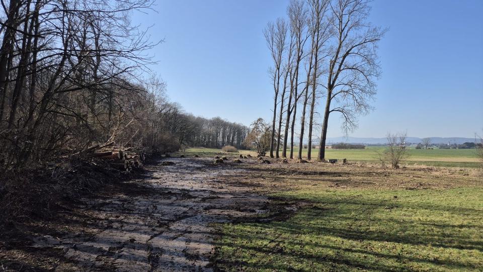 Einfamilienhaus Rosbach vor der Höhe - 15.000&euro; | Angebot:25378496