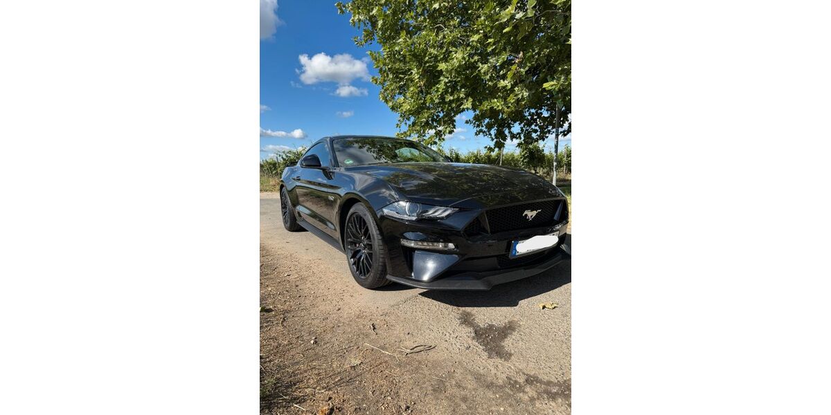 Ford Mustang 38.000 km 49.900 &euro; Hochheim am Main 65239