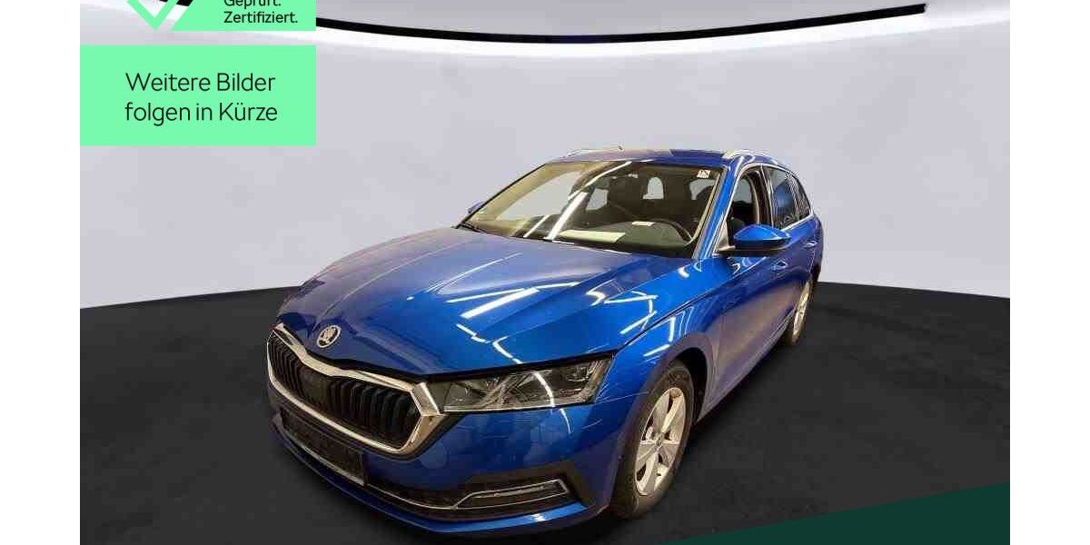 Skoda Octavia 50.900 km 25.499 &euro; Mühlheim 63165