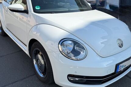 VW Beetle