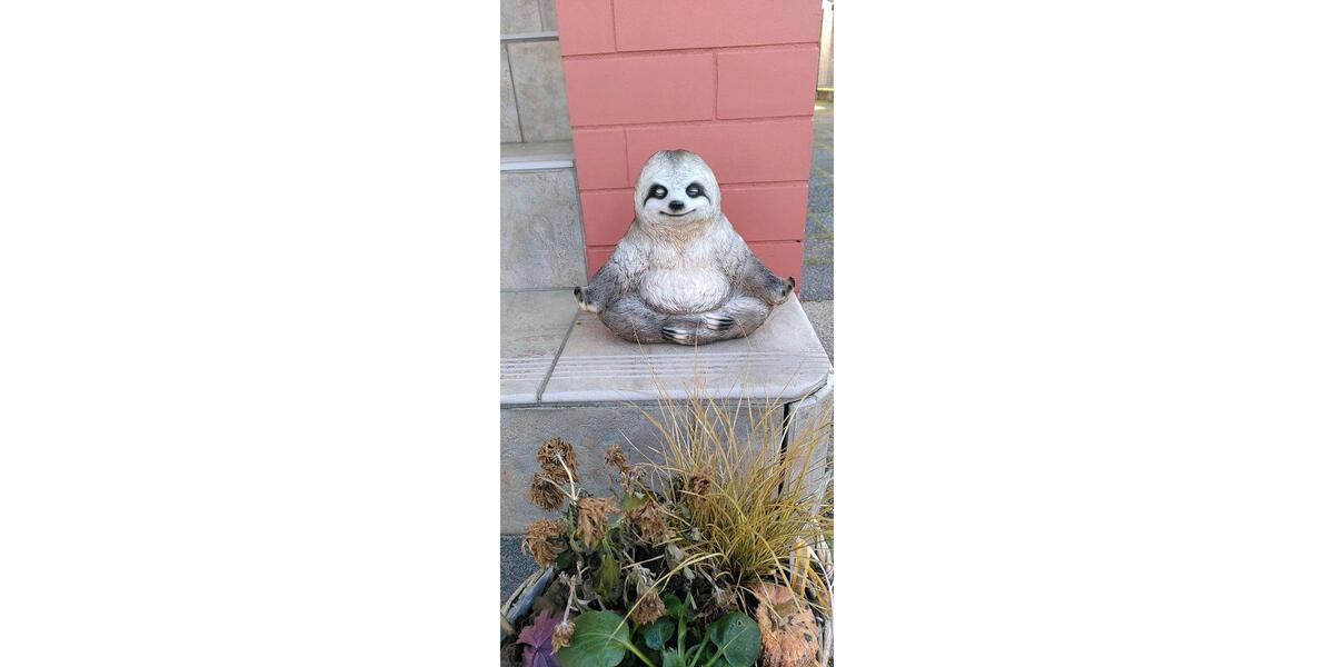 WG Zimmer mit Garten 1 zimmer