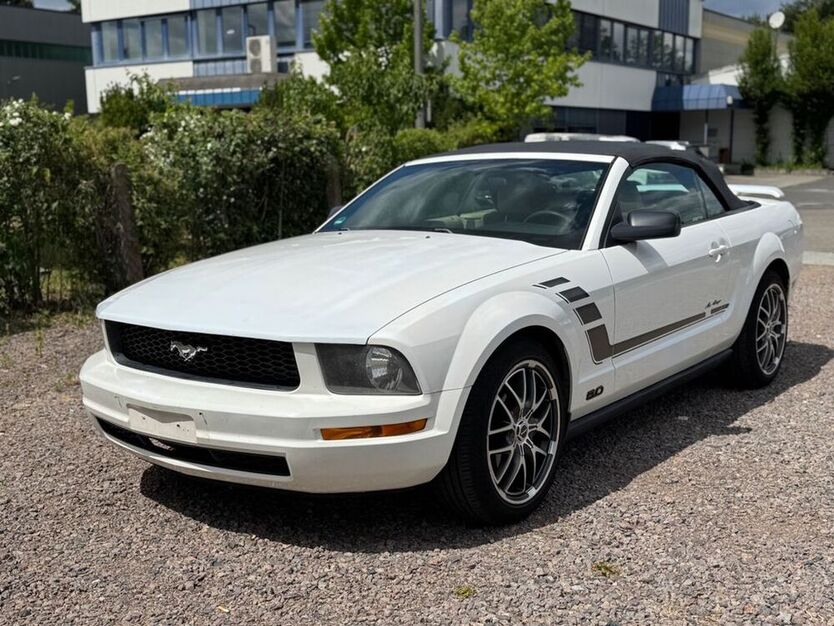 Mustang