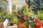 Etagenwohnung Weiterstadt - 3 Zimmer, 84 m&sup2;, 295.000&euro; | Angebot:26741889