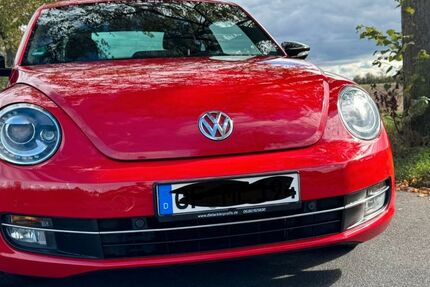 VW Beetle 90.806 km 13.500 € Hainburg 63512