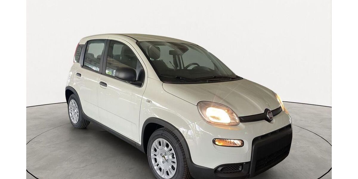 Fiat Panda 13.254 km 12.460 &euro; Oberursel 61440