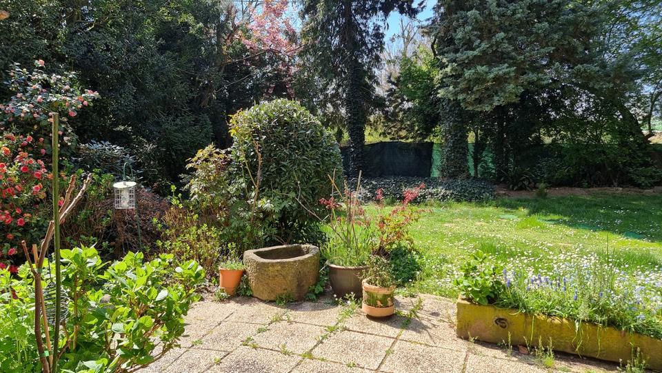 Besondere Gartenwohnung in Top-Lage in Eschersheim 3 zimmer