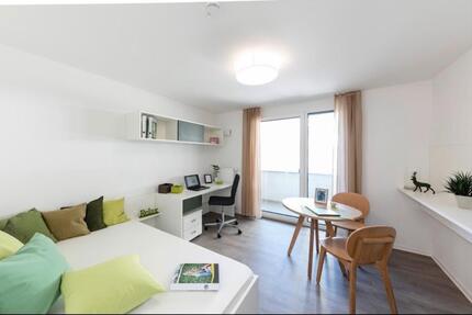 1-Zimmer-Wohnung zur Untermiete ab 01.01.2026 1 zimmer