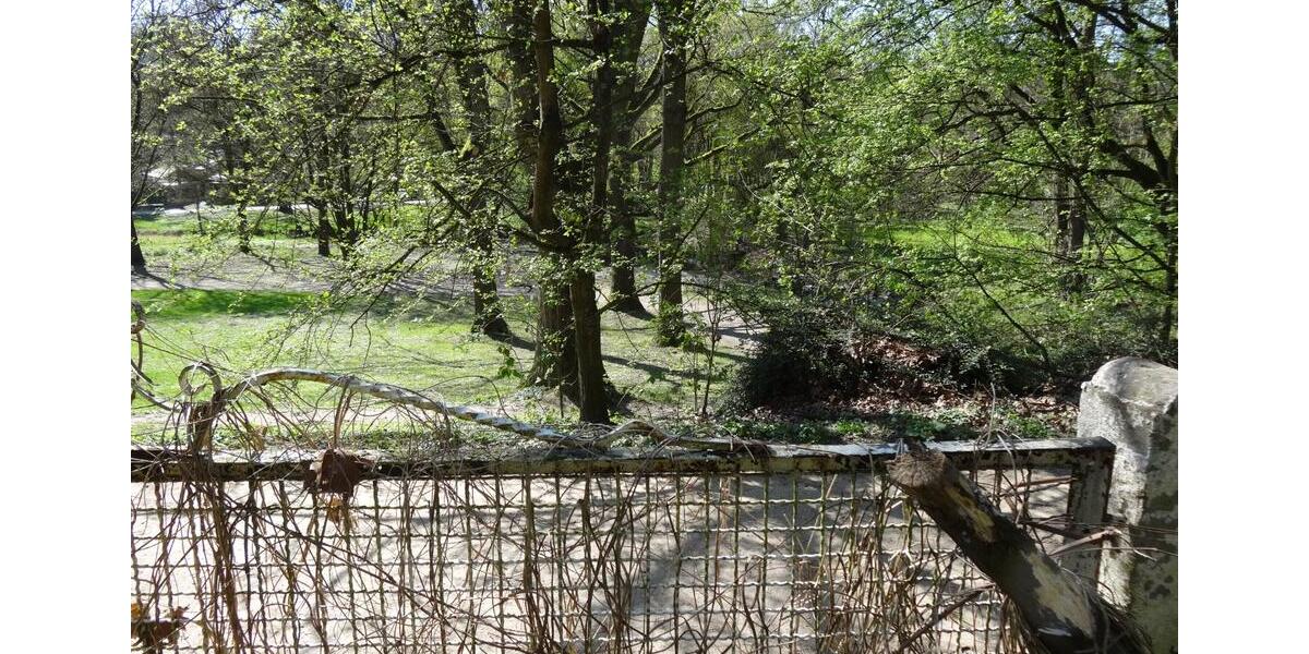 Haus am Park Frankfurt-Sossenheim 2300qm Grundst 14Z 450 qm Nutzf 14 zimmer