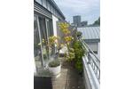 Maisonettenwohnung Frankfurt am Main Innenstadt 1 - 3 Zimmer, 94 m&sup2;, 1.584&euro; | Angebot:25975702