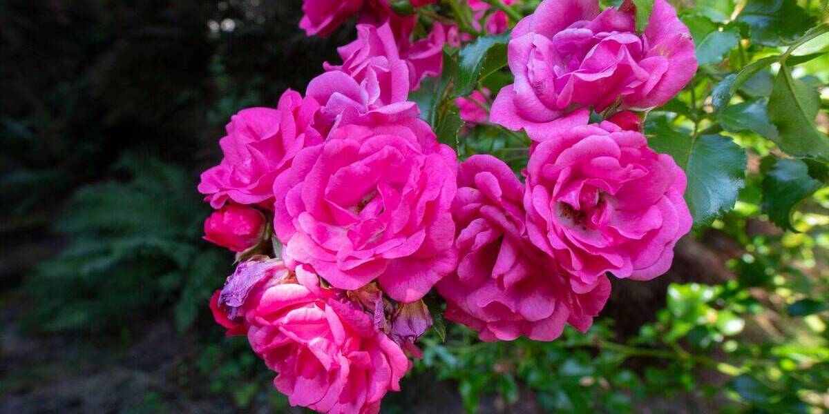 Mehrfamilienhaus, Wohnhaus Oberursel (Taunus) Oberstedten - 1 Zimmer, 371 m&sup2;, 1.780.000&euro; | Angebot:25695737