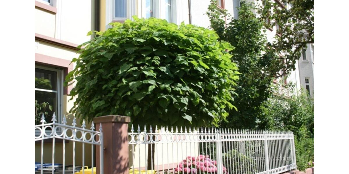 Neues Jahr, neues Glück in Hanau 3 zimmer