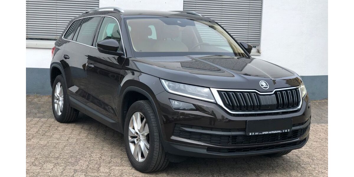 Skoda Kodiaq 100.000 km 23.750 &euro; Heusenstamm 63150