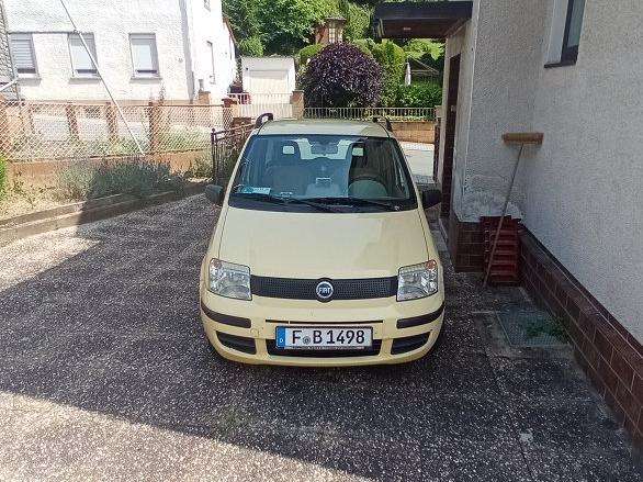 Panda