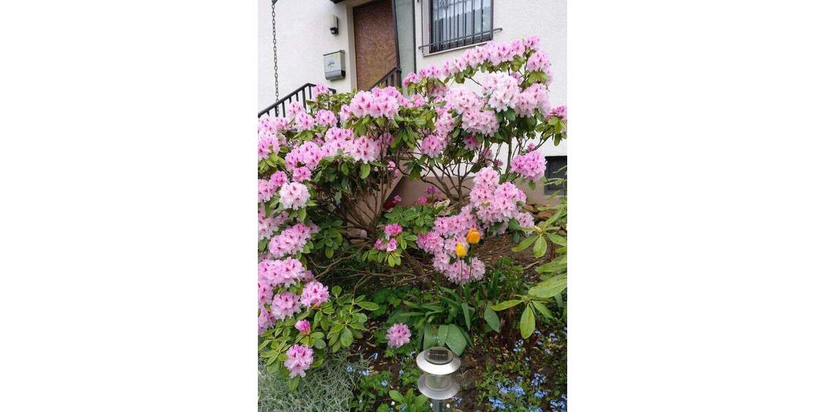 Einfamilienhaus Oberursel Stierstadt - 6 Zimmer, 137 m&sup2;, 780.000&euro; | Angebot:25760524