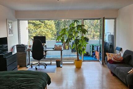 Wohnung Frankfurt am Main Sachsenhausen Süd - 1 Zimmer, 40 m&sup2;, 249.000&euro; | Angebot:27243045