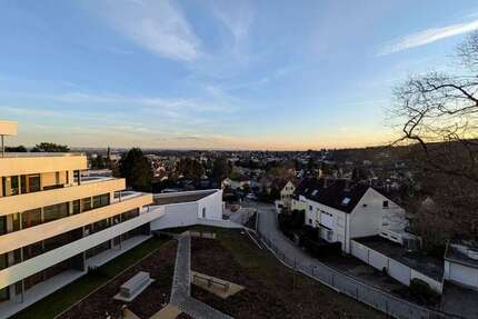 Wohnung zum Mieten in Hofheim am Taunus 1.134 € 63 m² 2 zimmer