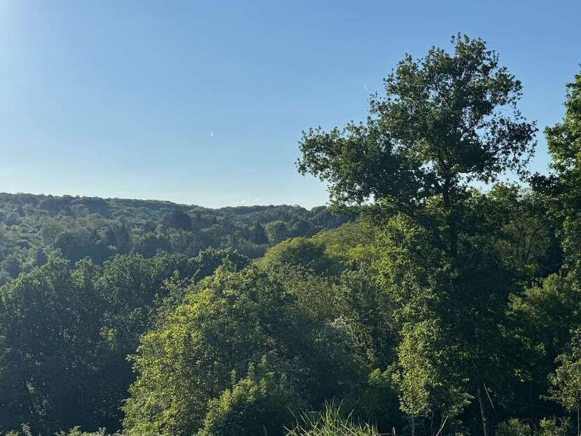 Haus zum Kaufen in Bad Soden am Taunus 1.450.000 € 380 m²
