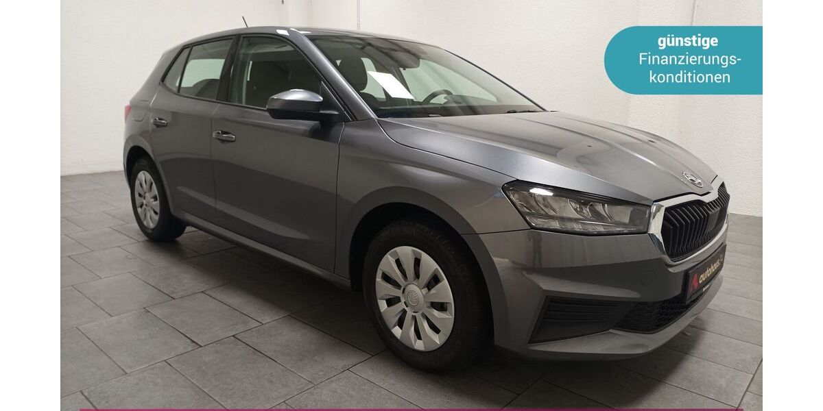 Skoda Fabia 29.941 km 13.970 &euro; Egelsbach 63329