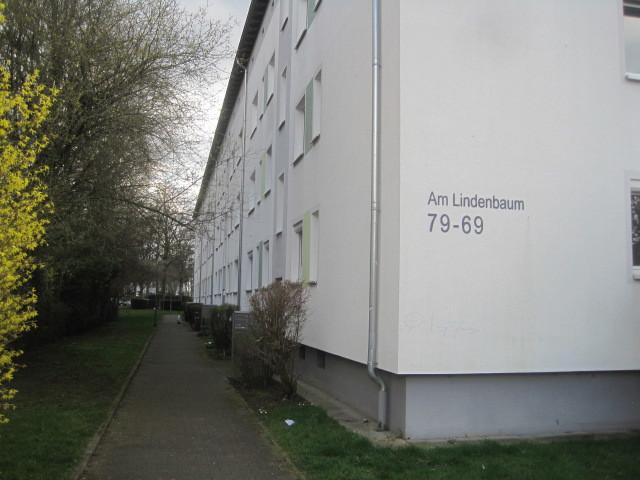 Etagenwohnung Frankfurt am Main Eschersheim - 2 Zimmer, 47 m&sup2;, 1.080&euro; | Angebot:25099767