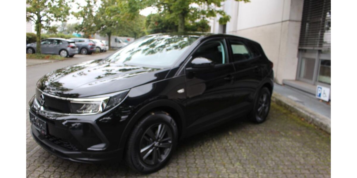 Opel Grandland (X) 96.000 km 18.500 &euro; Rüsselsheim 65428