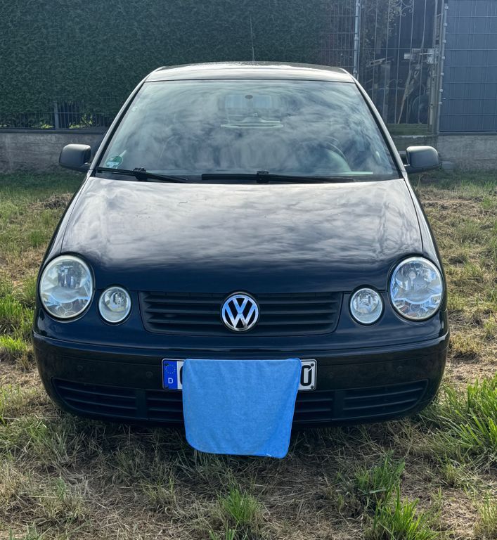 Polo