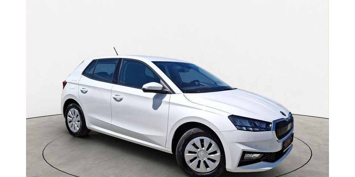 Skoda Fabia 20.200 km 17.155 &euro; Friedberg 61169