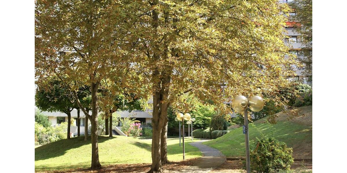 Terrassenwohnung Frankfurt am Main Sachsenhausen Süd - 2 Zimmer, 88 m&sup2;, 1.400&euro; | Angebot:25646934