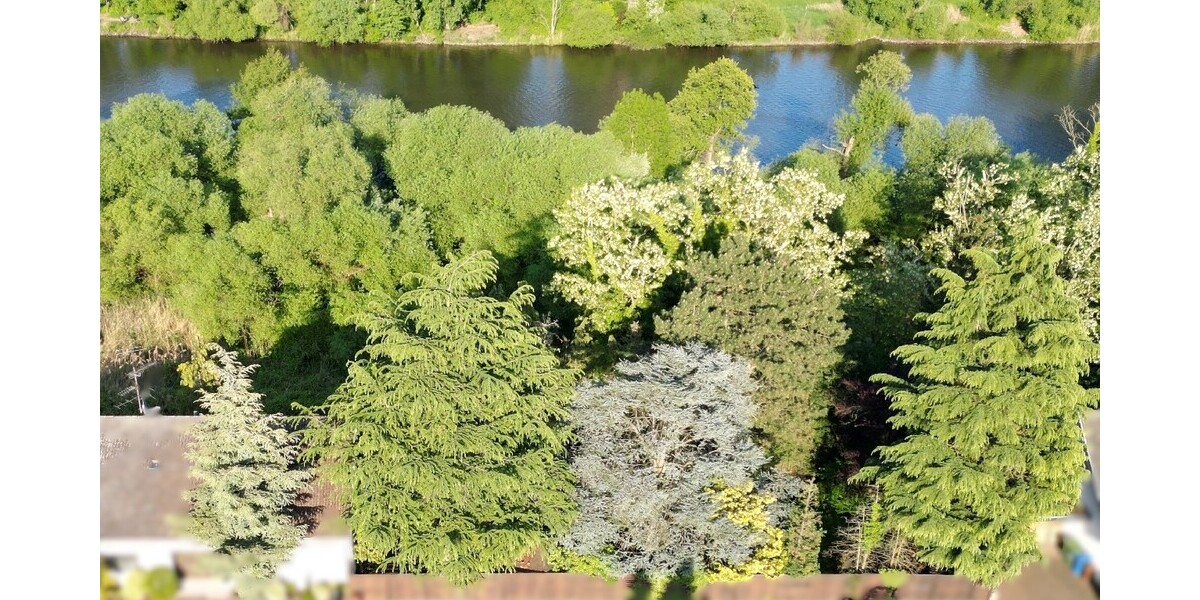albero:) direkt am Main - Grundstück Mainhausen Mainflingen | Angebot:23118805