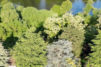 albero:) direkt am Main zimmer