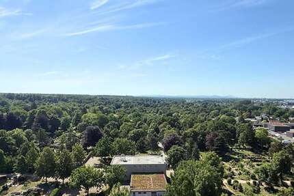 Wohnung zum Kaufen in Langen 97.000 € 36 m² 1 zimmer