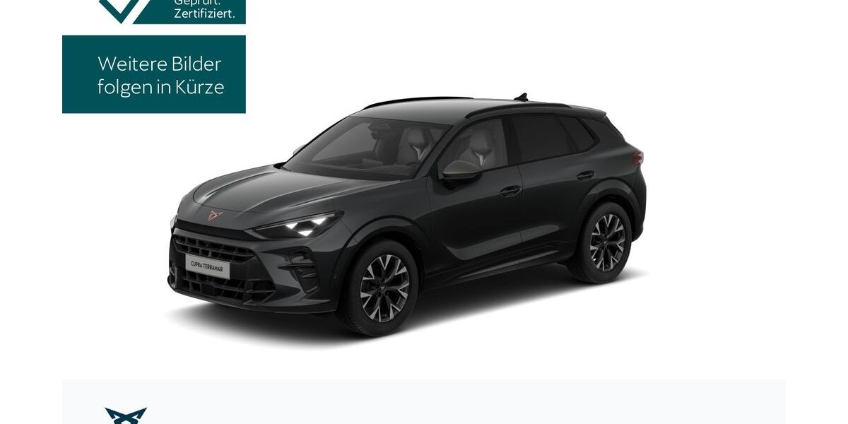 Cupra Terramar 26.758 km 32.890 &euro; Königstein/Ts. 61462