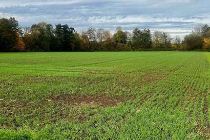 Grundstück Frankfurt am Main Bonames - 59.900&euro; | Angebot:23434070