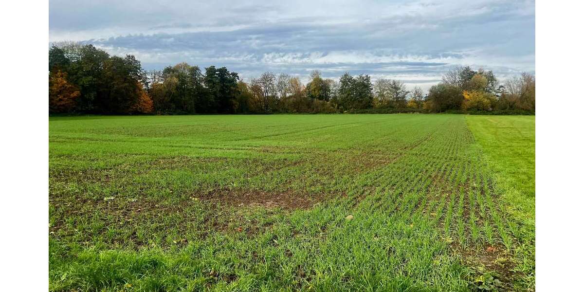 Grundstück zu verkaufen in Frankfurt am Main 59.900 € 3568 m² zimmer