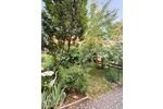 Provisionsfrei* Maintal-Bischofsheim (Spessartstr.): Neuwertiges, modernes RMH in ruhiger Lage