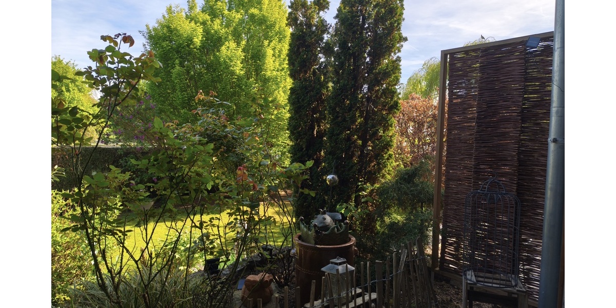 Kommen Sie zu uns Ihr Haus ist schon da, ca. 350m² Wohnfl. und ca. 802m² Grundst. in Top Lage ! - Einfamilienhaus Büttelborn | Angebot:24610042