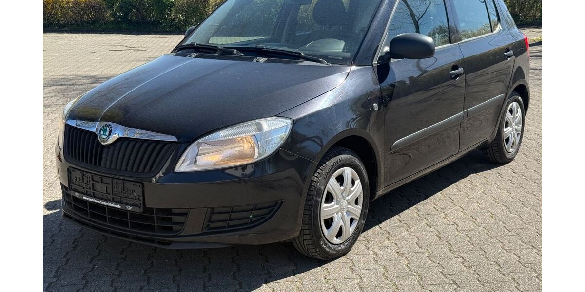 Skoda Fabia 176.000 km 3.660 &euro; Rüsselsheim 65428