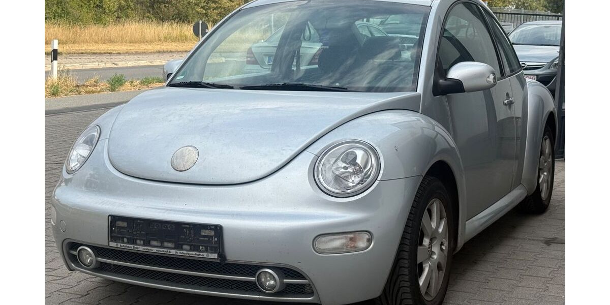 VW New Beetle 256.400 km 950 &euro; Groß Gerau 64521