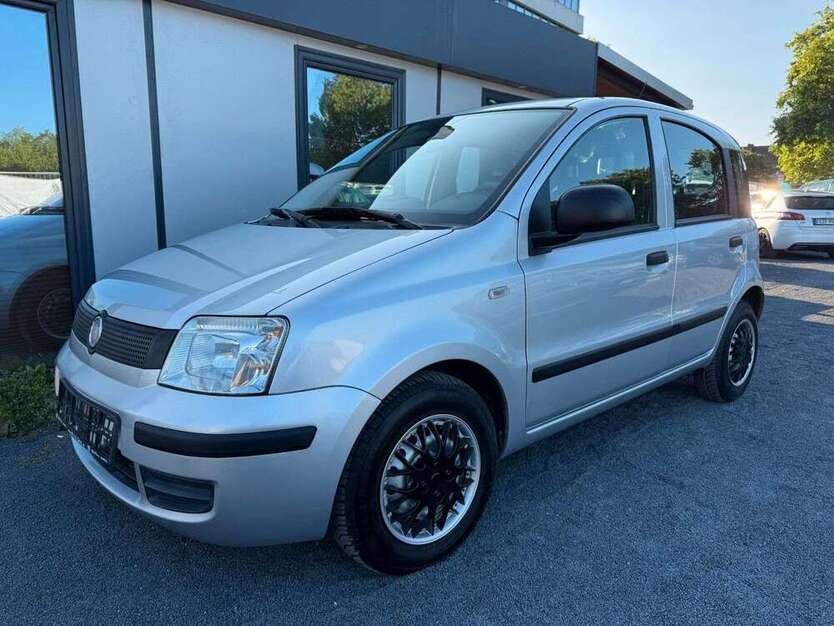 Panda