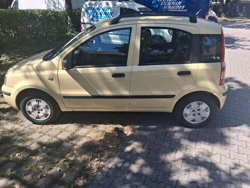 Panda