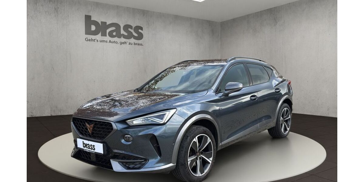 Cupra Formentor 78.800 km 23.980 &euro; Frankfurt 60488