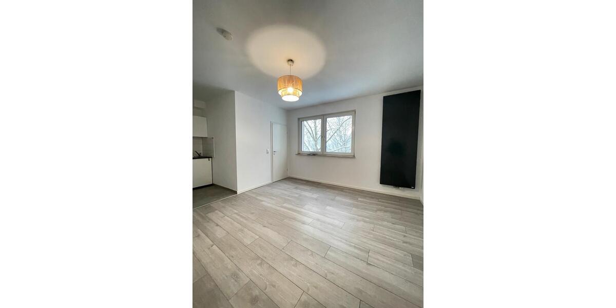 Sanierte 1-Zi Wohnung in zentraler Lage 1 zimmer