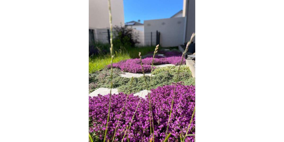 Reihenendhaus Karben Groß-Karben - 5 Zimmer, 155 m&sup2;, 869.000&euro; | Angebot:24822034