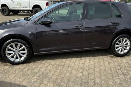 VW Golf 313.386 km 7.199 &euro; Hanau 63452